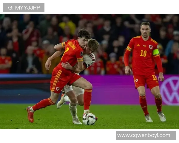 2016欧洲杯威尔士队的辉煌历程与精彩瞬间回顾
